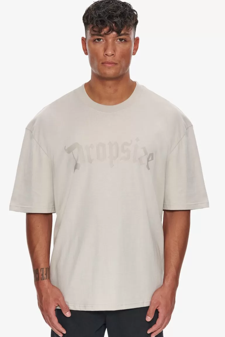 Flash Sale Dropsize Heavy Oversize Logo T-Shirt Moonbeam