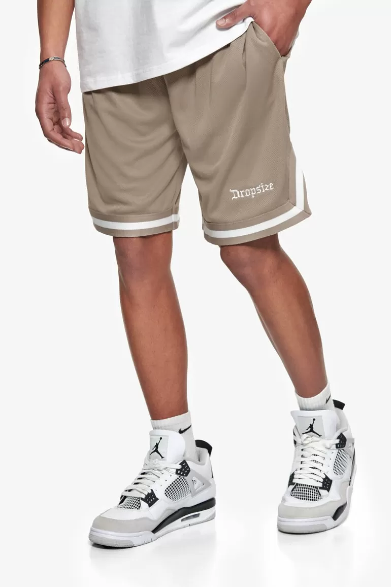 Shop Dropsize Logo Mesh Short Simply Taupe